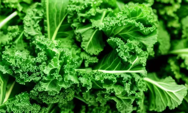 What Does Kale Taste Like?