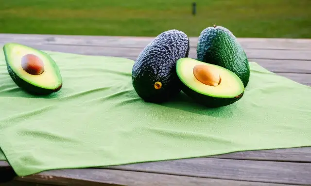 What Mixes Good With Avocado?