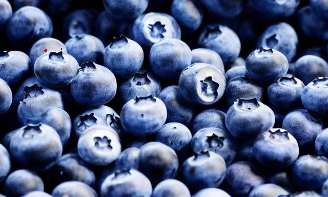 Blueberry Smoothie with Milk