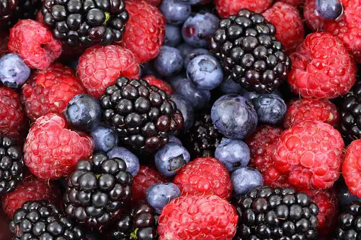 Why Berries Are the Key Ingredient in Your Personal Smoothie Recipe