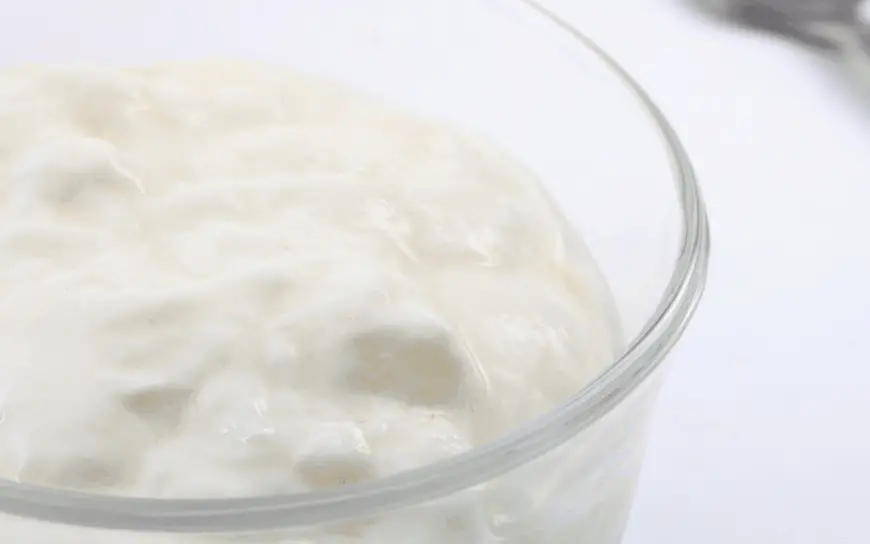 Greek Yogurt Benefits for Belly Fat