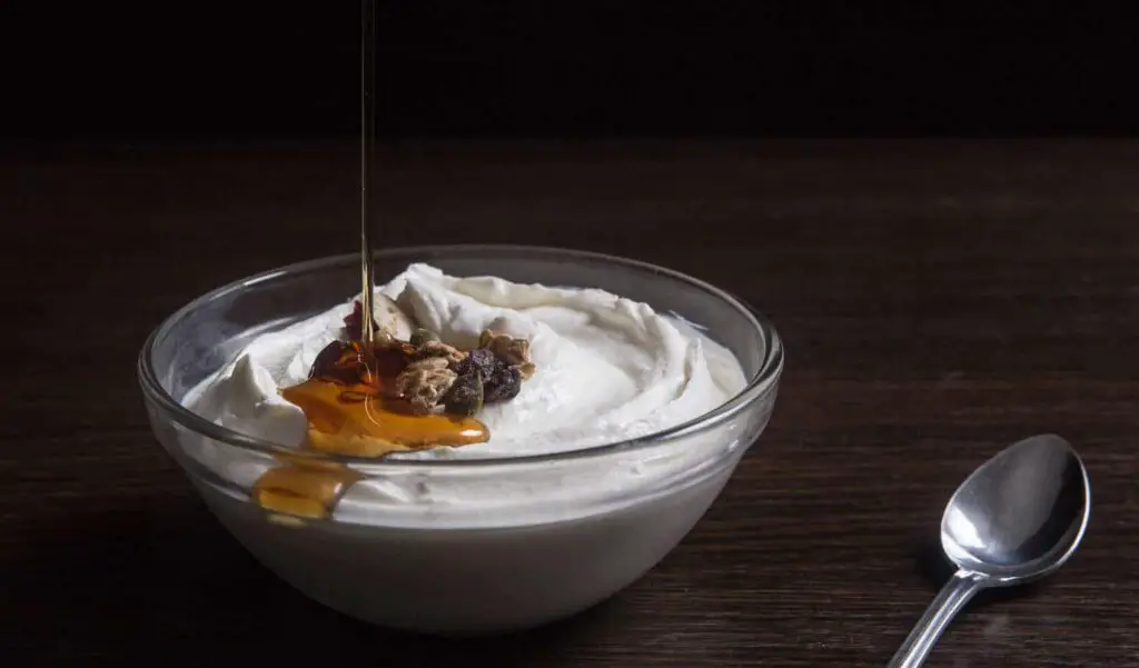 Greek Yogurt Recipes